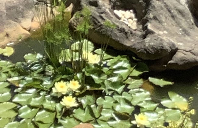 Magic Camps Bay - Foto 31