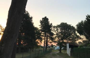 Charmante Maison de La Lizarde - Foto 12