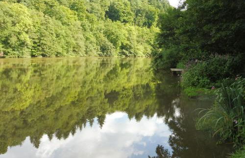 Apartment Chalet Wiedfluh in Waldbreitbach by Interhome - Foto 30