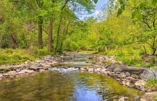 Takoma Park Apt with Wood Fire Pit Less Than 8 Mi to DC - Foto 26