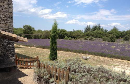 Maison de caractère dans Luberon avec piscine - Foto 18