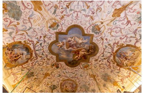 Appartement des Barons - Palais Ansermin - Dimora storica - Foto 38