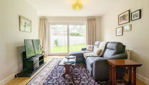 Birch Tree - Photo 3