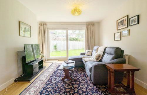 Birch Tree - Photo 3