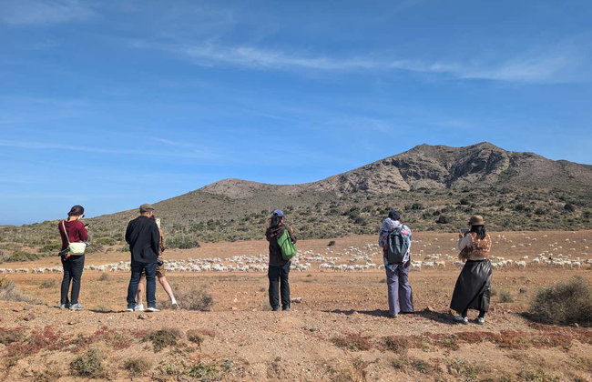 Los Genoveses & Mónsul Beaches Off-Roading Tour - Photo 4
