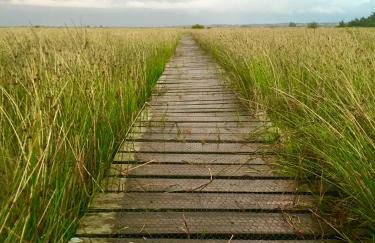 SchönErleben - Foto 12