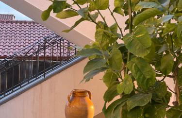 La Pigna dell'Etna - Foto 36