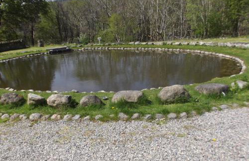 Bryn Cottage - Foto 12