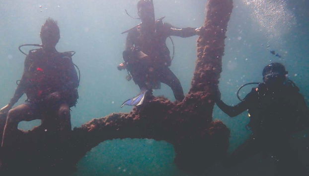 Diving at Ilhabela Shipwrecks - Photo 4