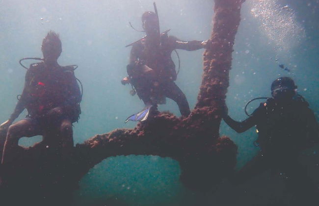 Diving at Ilhabela Shipwrecks - Photo 4