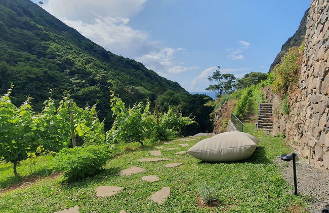 Terrabona Nature & Vineyards - Foto 47