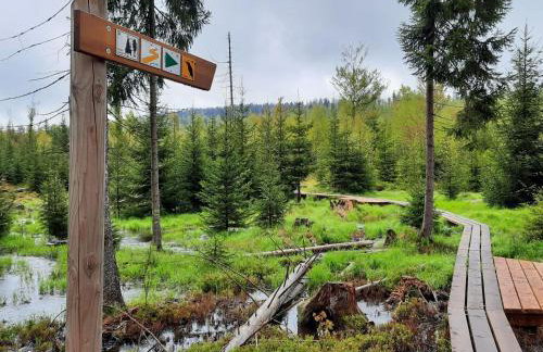 Apartment Landhaus Wildfeuer by Interhome - Foto 46