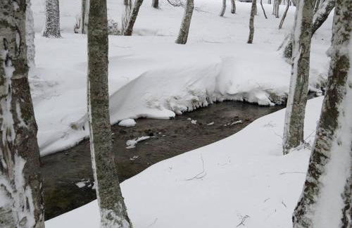 A Primeira Casinha do Mé-Mé - Foto 28