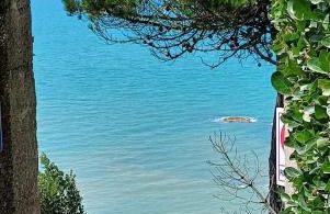 Maison de La Beslière meublé de tourisme 2 étoiles - Foto 40