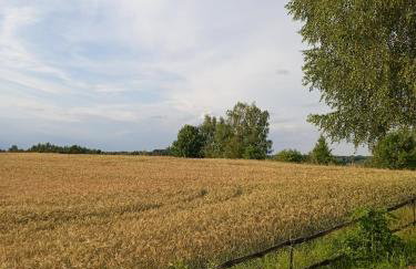 Agroturystyka Lisa Młyn - Foto 56