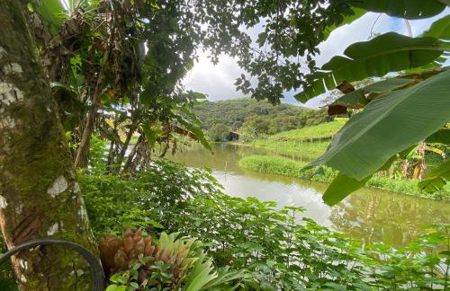 Solar dos Pássaros - Foto 15