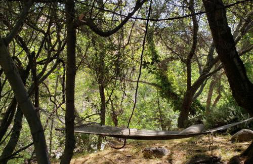 RiverFront Retreat- Spa/Hot tub, Game Room, Limited Gym - Foto 29