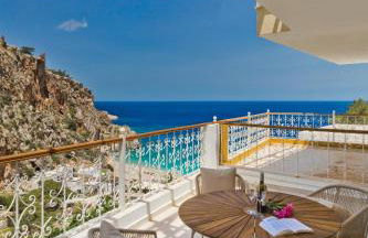 Callisthea - Foto 13