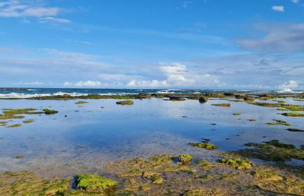 Paraíso PÉ NA AREIA no coração do Litoral Norte - FRENTE MAR - Loft projetado para que você tenha a melhor experiência em hospedagem - condomínio mais procurado da Estrada do Côco - Varanda com vista espetacular para o mar - lazer e TRANQUILIDADE - Foto 10