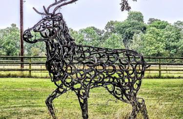 Annexe at The Chalet - A one bedroom annexe with gorgeous countryside views - Foto 6