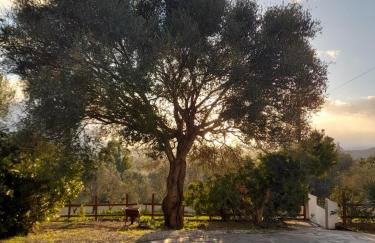 Agriturismo Palas De Serra Country Resort - Foto 59