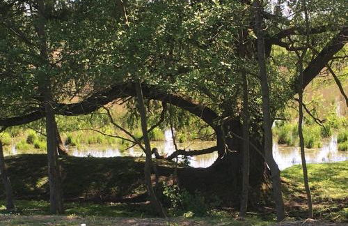 Ferienhaus-Wiesengrund - Photo 50