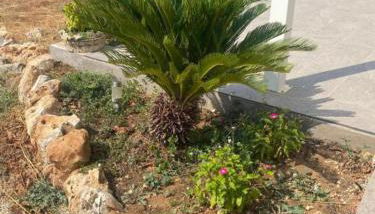 Villa Trellame - Casa vacanze tra gli ulivi - Foto 3, Garden view