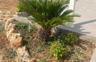 Villa Trellame - Casa vacanze tra gli ulivi - Foto 3