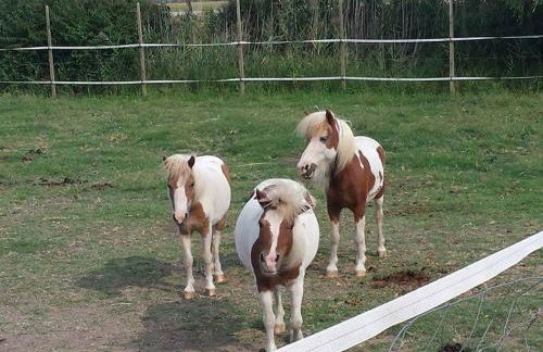 Agriturismo Quadrifoglio Relax - Foto 25