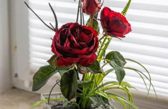 Haus Seestern - Foto 12