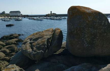 À moins de 100 mètres de la mer a la pointe de Trevignon - Foto 14