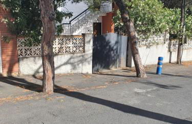 PINO BEACH - Foto 18