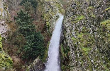 zélu apartamento centro da Guarda - Foto 32