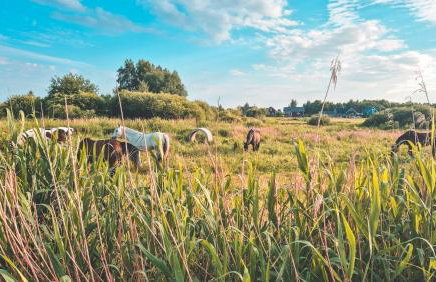 Domki BobolinLove w Bobolinie - Foto 72