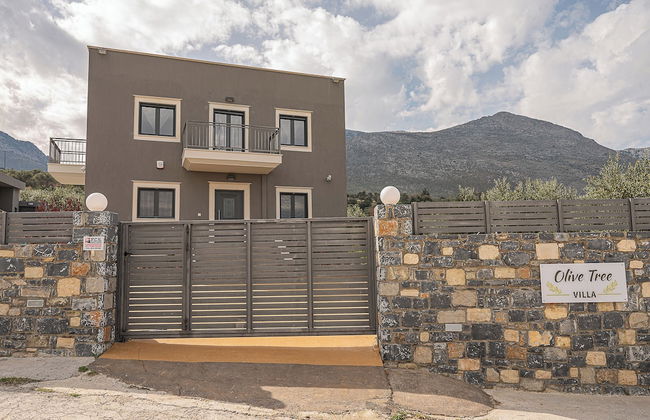 Olive Tree - Foto 35