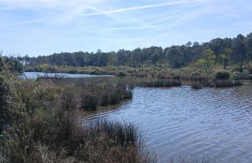 GoldenSand mobilehome - Foto 33