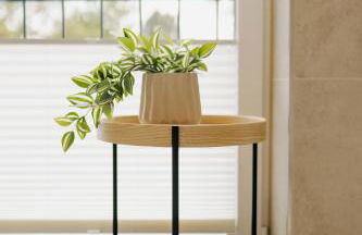 Küsten Suite de See - Suite 2 direkte Deichlage, Balkon, 77qm - Foto 8