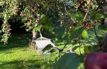 Camp Warmia - Foto 7