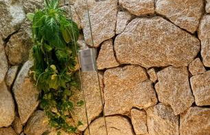 Casa Amarela no Centro de Paraty - Foto 45