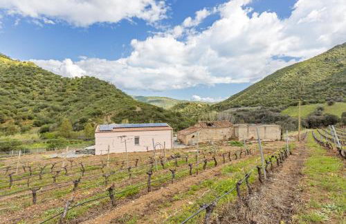 Podere Is Tres Fradis - Foto 6