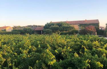 Farm House, 10 min d'Avignon - Photo 41