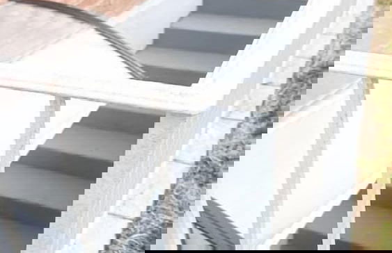 Deluxe Joy - Foto 24