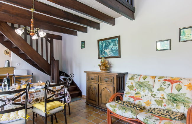 Blaue Hortensie - Foto 13