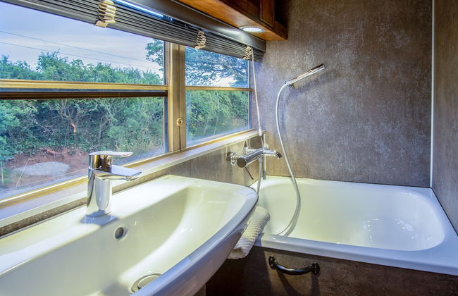 American School Bus - Blossom Farm - Foto 20