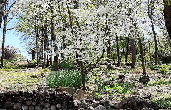 Cherokee mountain log cabin resort - Foto 63