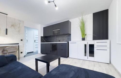 Nowoczesny Apartament Wypoczynkowy Szczawne - Foto 1