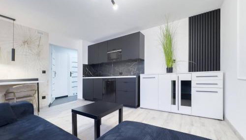 Nowoczesny Apartament Wypoczynkowy Szczawne - Foto 1, stove