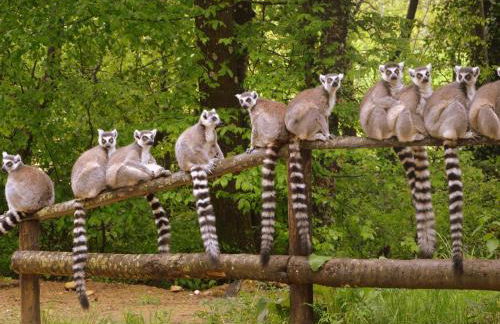 Villa with garden near beautiful golf course - Foto 17