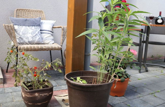 Holiday Apartment Old Town Hall - Foto 25