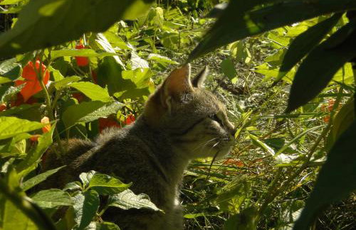 Stajnia Lisewo - Foto 22